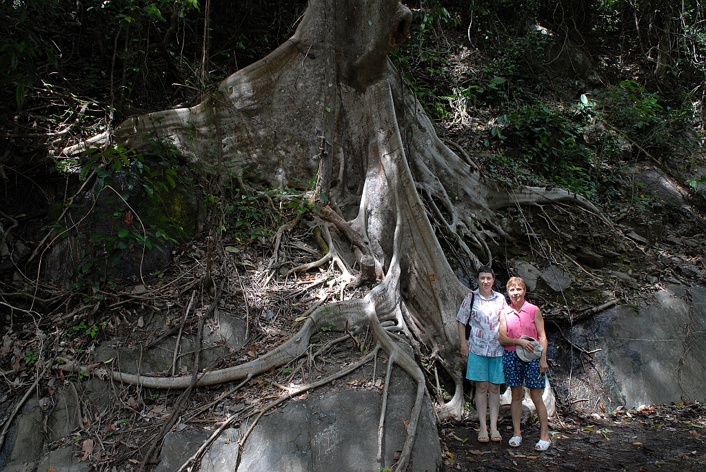 0833 Crystal Cascades.jpg